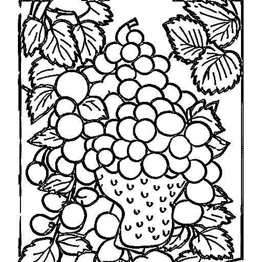 Grapes and Berry Coloring Page