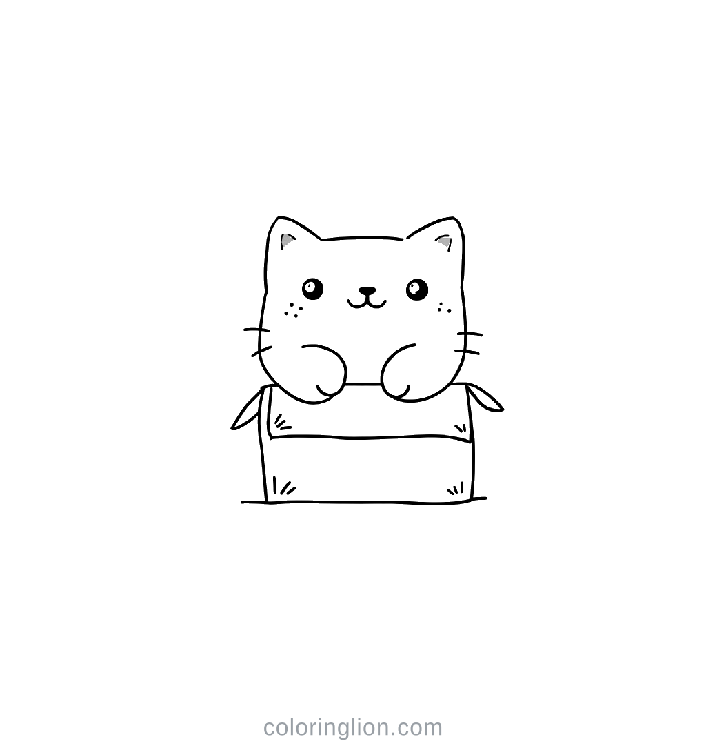 Cat Box Coloring Page