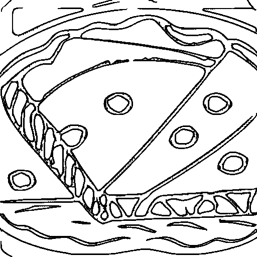 A pizza slice Coloring Page