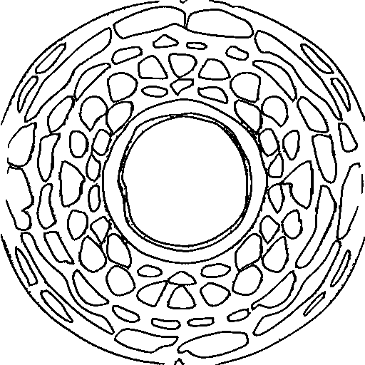 A donut Coloring Page
