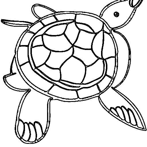 A sea turtle Coloring Page